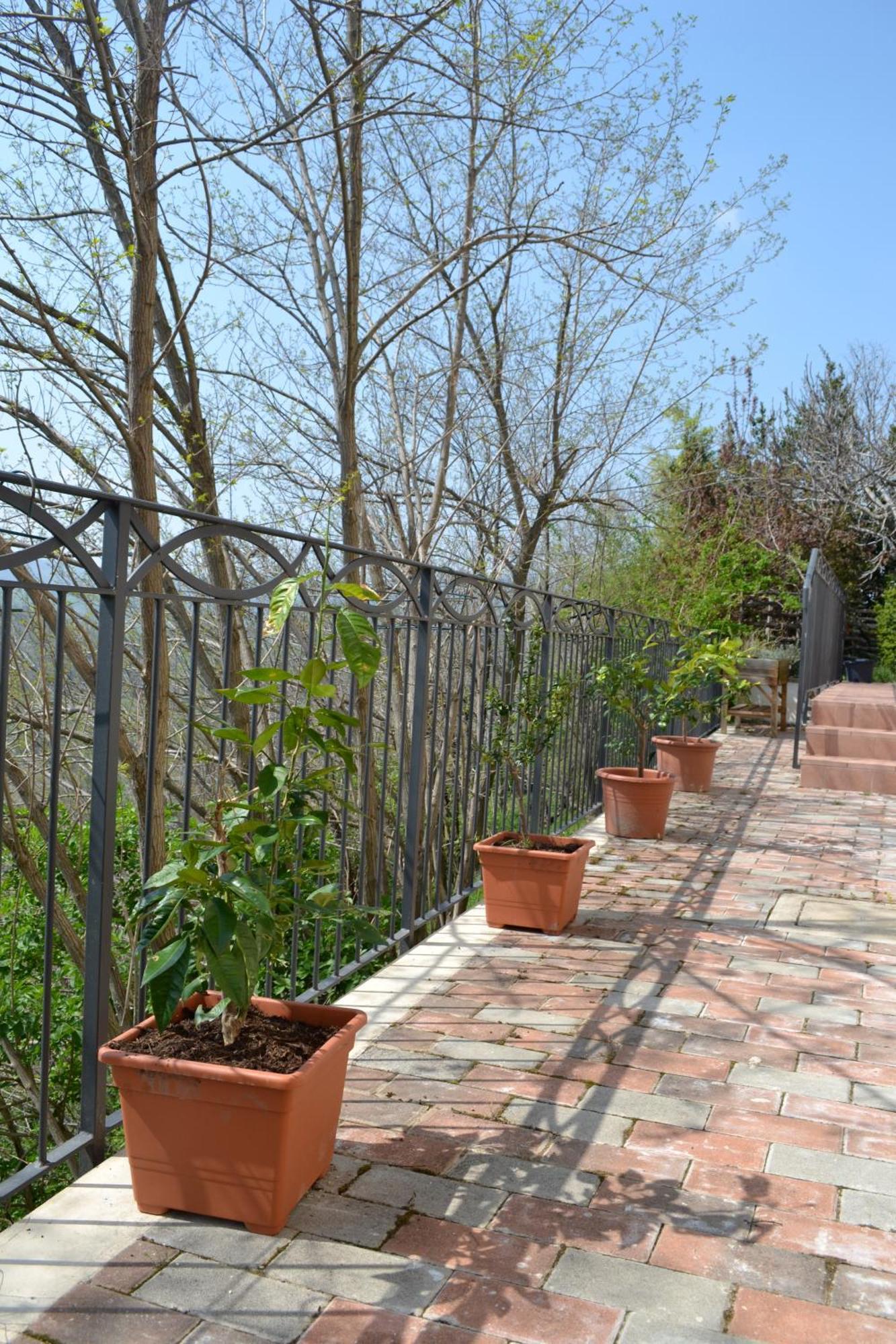 B&B Ca Biocco Sogliano al Rubicone Zewnętrze zdjęcie