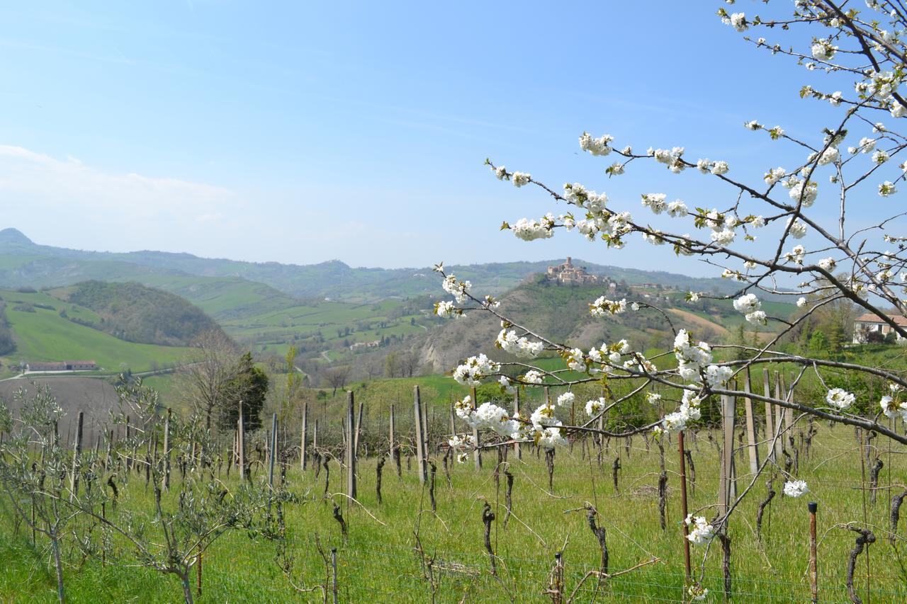 B&B Ca Biocco Sogliano al Rubicone Zewnętrze zdjęcie
